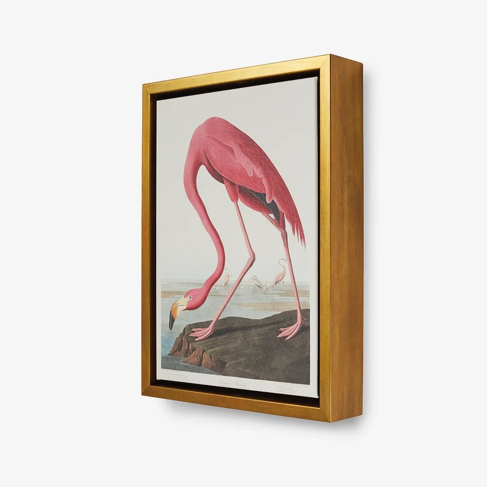 Canvas Framed