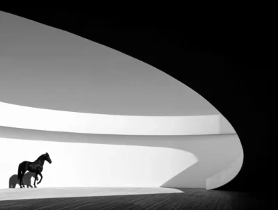 Horse 1