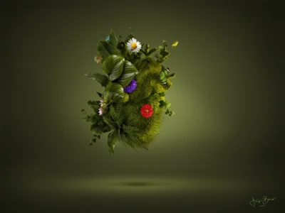 Spring