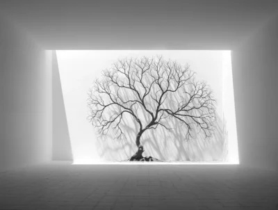 Tree 1