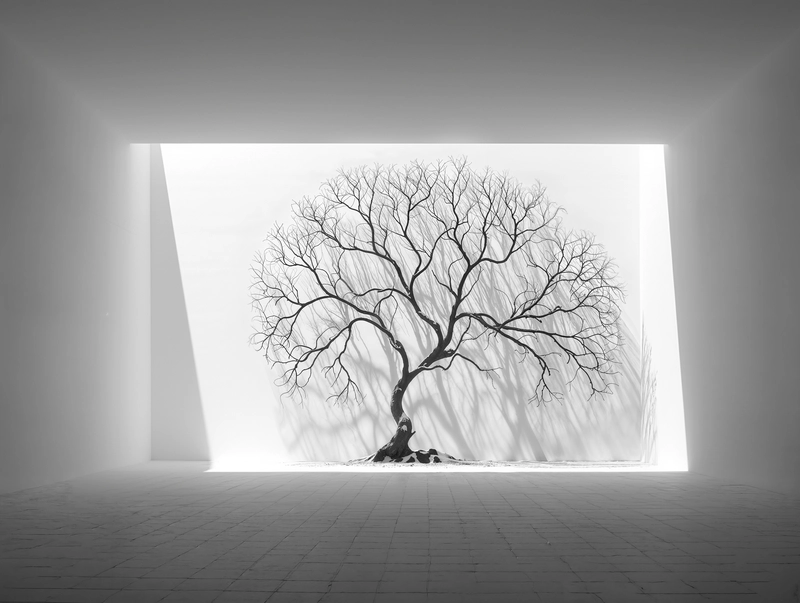Tree 1
