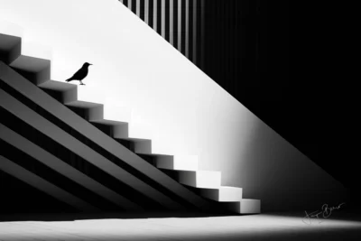Vuelo